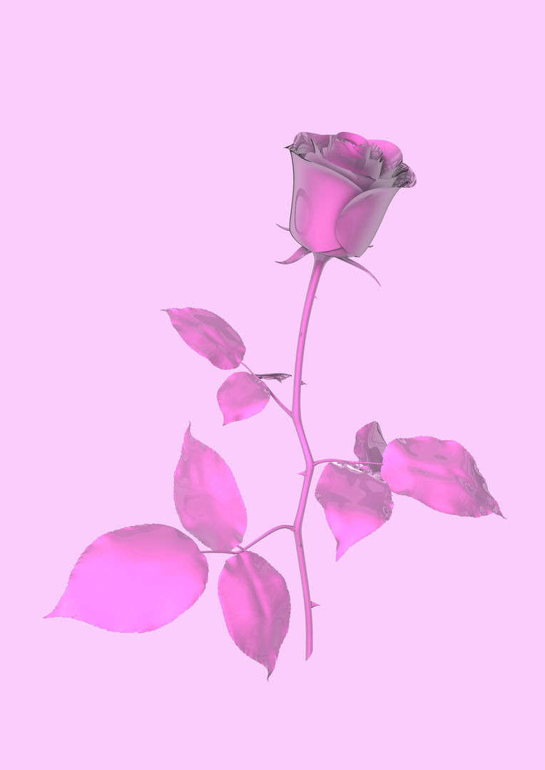 0904364685ce00dd968ab87c1f0da5aa.jpg