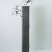 A monument of the limit and fut...