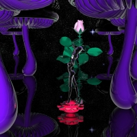 흑장미 유리 여왕