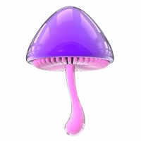 보라빛 버섯