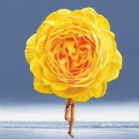 이미지-時代의 斷想